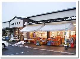 ���S���{�X�O��