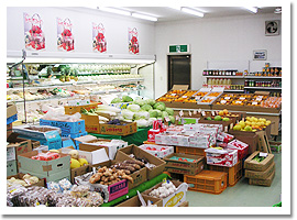 ���S���{�X����